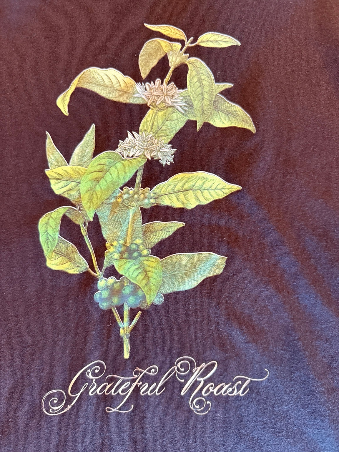 Actual maroon Grateful Roast Coffee Plant Tee, front artwork detail